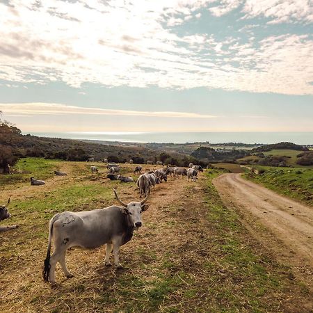 Agriturismo Morani Санта Севера Екстериор снимка