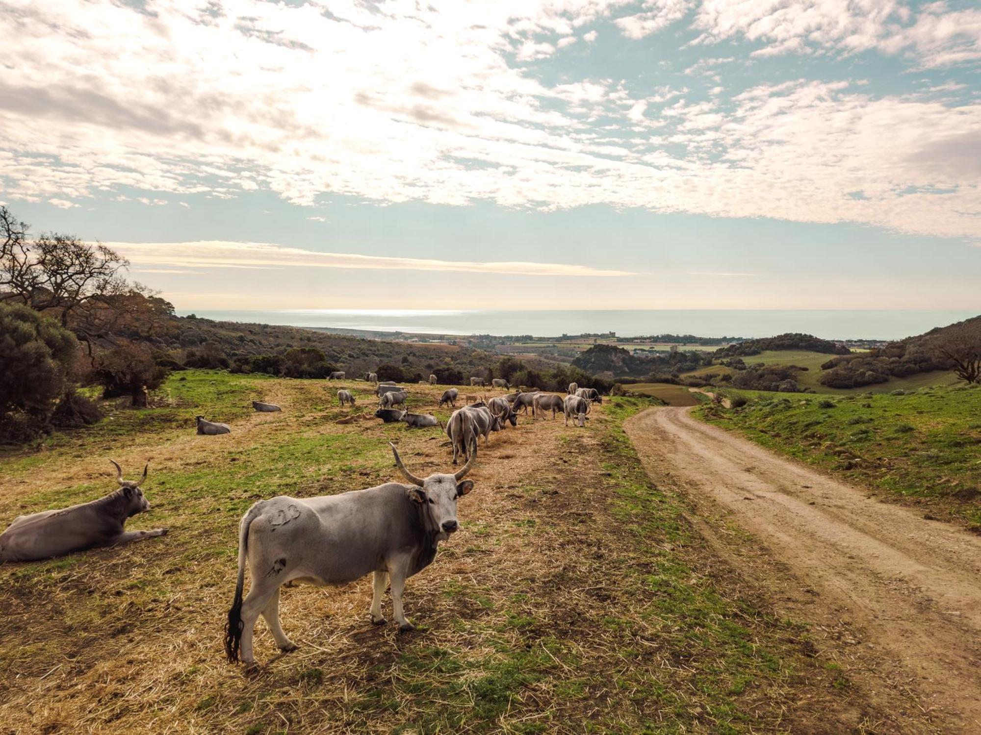 Agriturismo Morani Санта Севера Екстериор снимка
